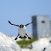 razorbill_msi_h_2958_can2355.jpg